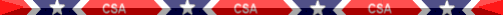 csa_bar4.gif (3184 bytes)